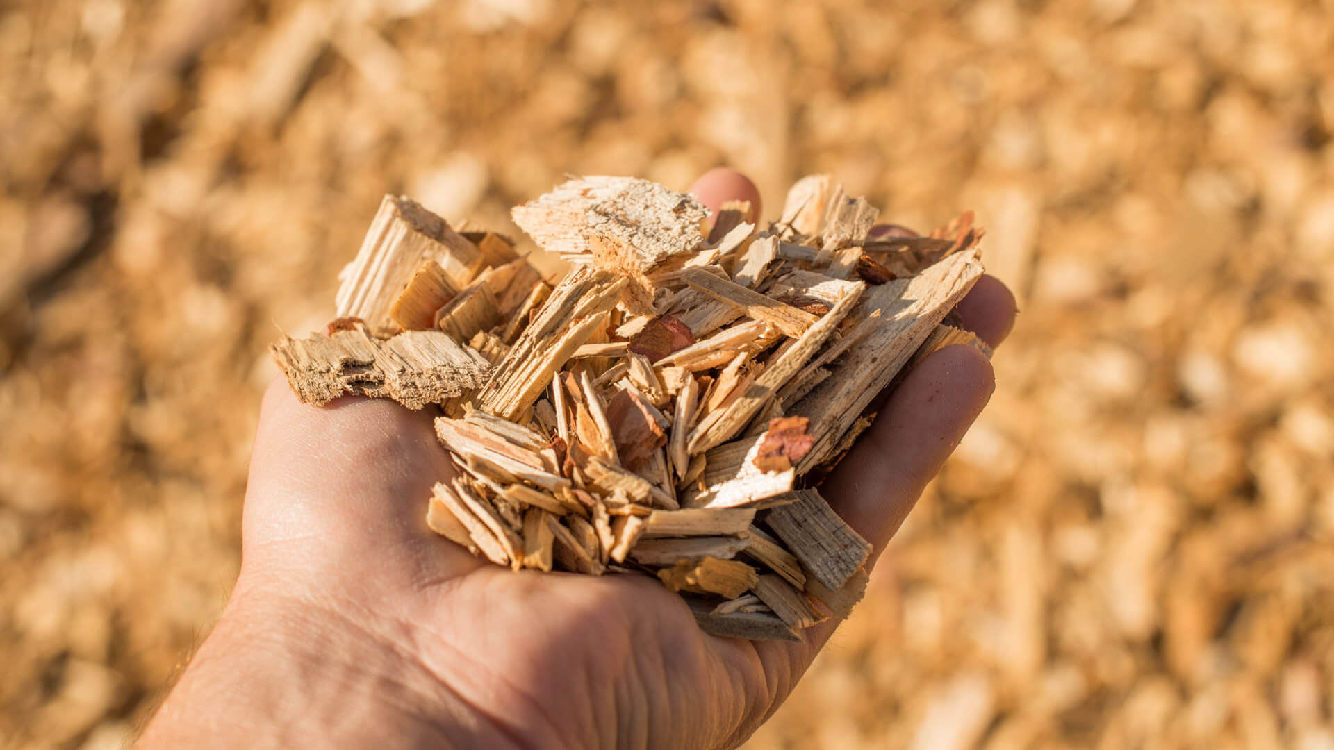 HOUT100% | Header recyclebaar HOUT100% | Header recyclebaar