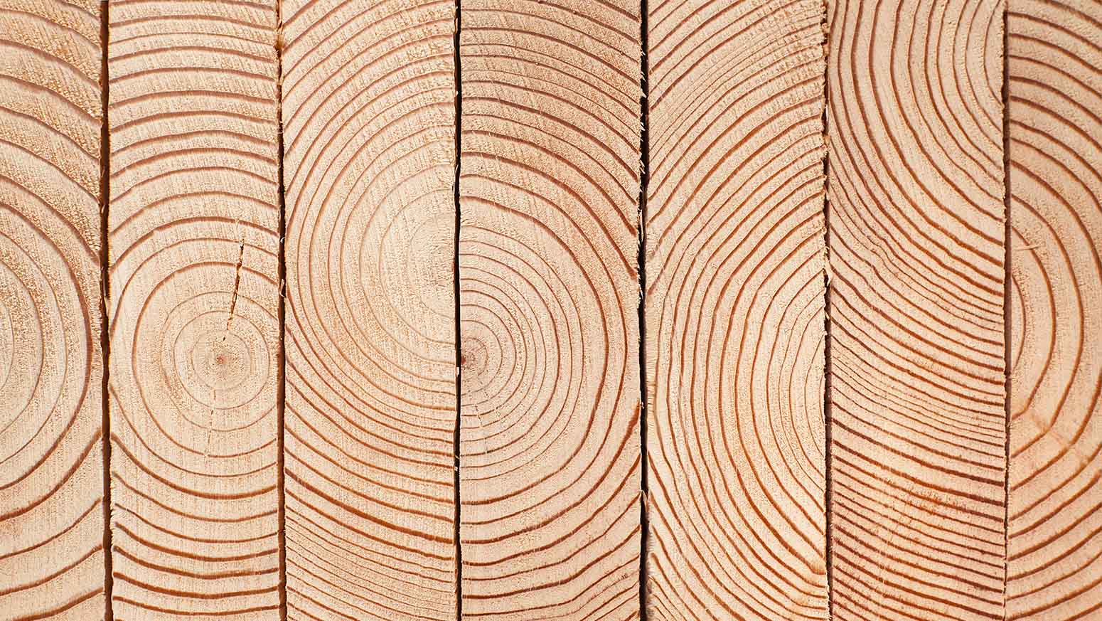 Wardianzaak natuurlijk Ziek persoon De voordelen van hout als bouwproduct | HOUT100%