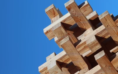 Meer bouwen met hout vraagt om actieve verspreiding van houtkennis