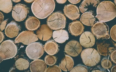 Vurenhout kozijnen, voordelen en nadelen