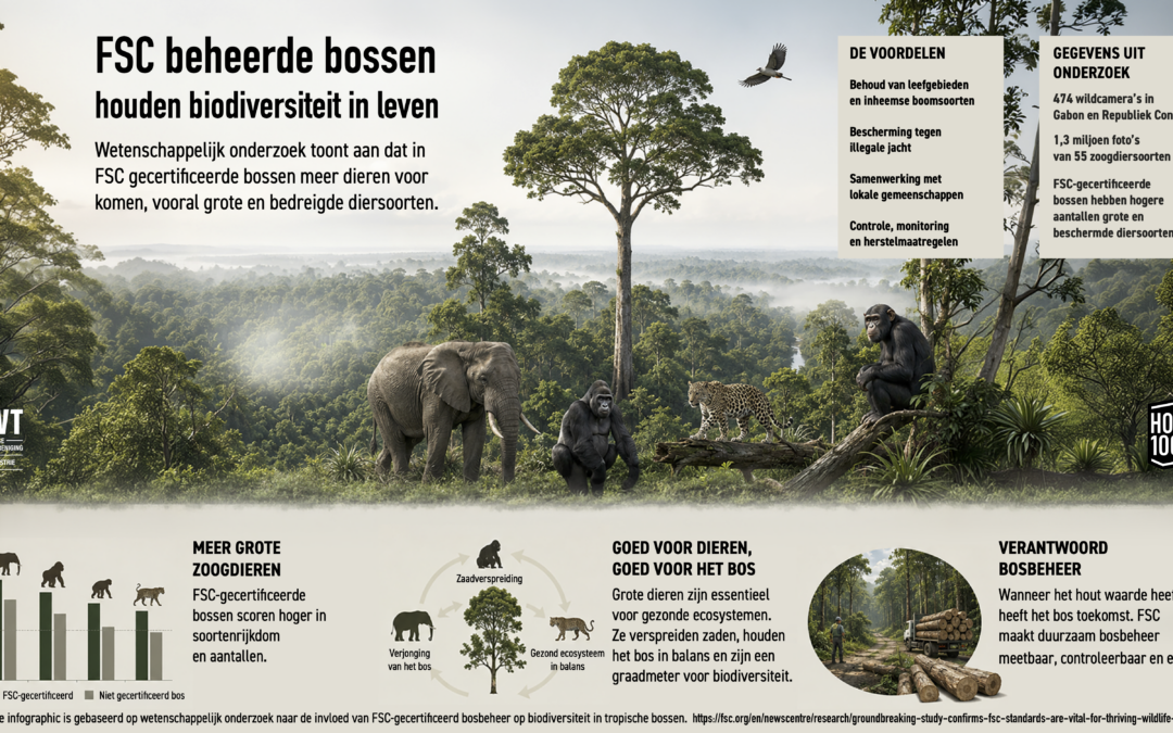 Cyclus van verantwoord bosbeheer met natuurlijk bos, selectieve oogst, houtverwerking, boomkwekerij en lokale gemeenschappen.