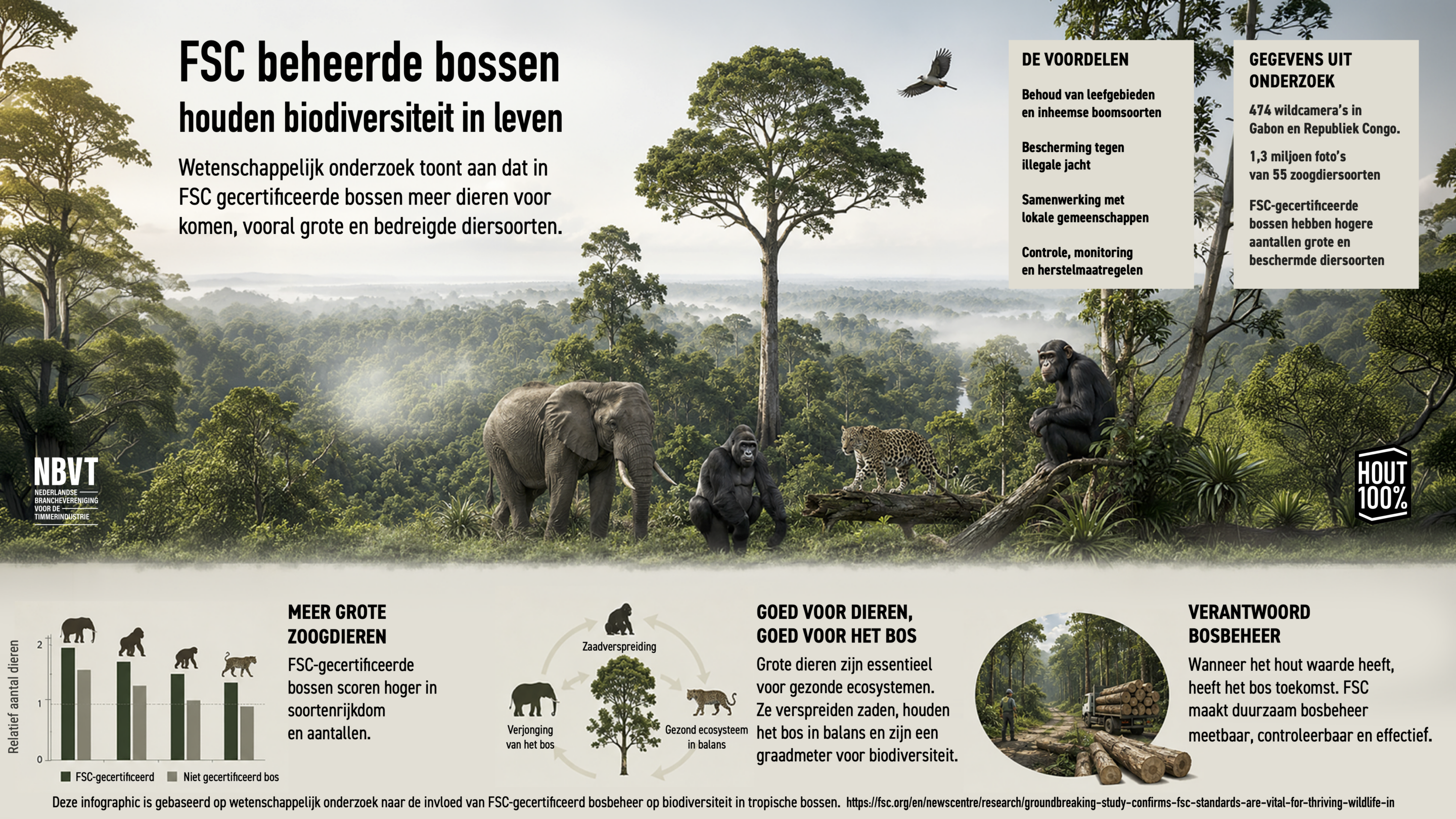 ivan-bandura-W17FU_GuyVQ-unsplash Cyclus van verantwoord bosbeheer met natuurlijk bos, selectieve oogst, houtverwerking, boomkwekerij en lokale gemeenschappen.