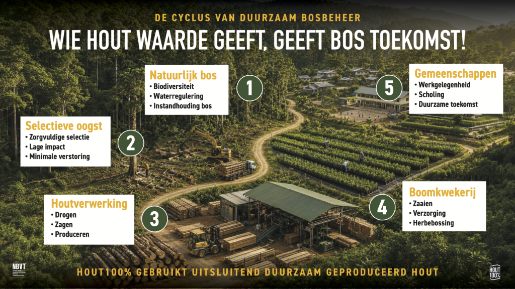 Cyclus van verantwoord bosbeheer met natuurlijk bos, selectieve oogst, houtverwerking, boomkwekerij en lokale gemeenschappen.