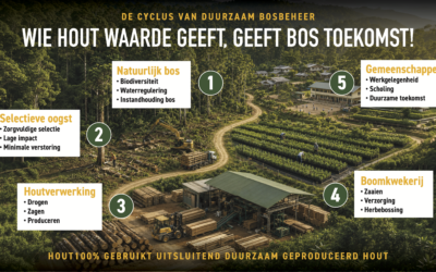 Verantwoord bosbeheer en de waarde van duurzaam hout